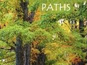 Book Review Whispering Paths