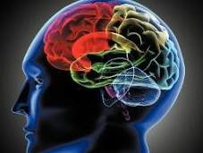 Looking Science Behind Twelve Steps