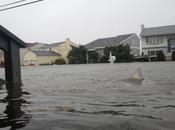 Hurricane Sandy Bring Sharks Jersey