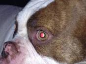 She's Gonna Soccer Playa!