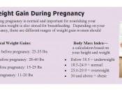 Pregnancy Healthy Weight Gain Gaining During Normal Important Nourishing Your Developing Baby