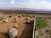 Tawlet Ammiq: Breath Fresh Good Food