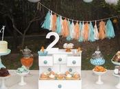 Aqua Orange Themed Birthday Make Shine Events