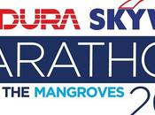 Condura Skyway Marathon 2013