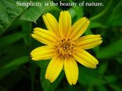Images About Simplicity