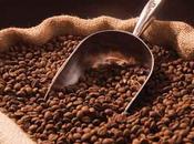 Favorite Drink Coffee Under Threat Becoming Extinct?