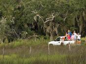 Expedition Opportunity Held Little Saint Simons Islands