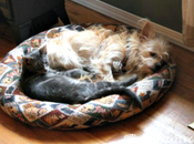 Photo Challenge~Days