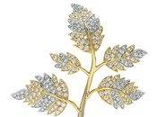 Spotlight Jean Schlumberger