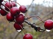 Walk Wantage Ardington, Hendreds Back...