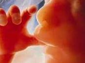 Some Good News Unborn Babies