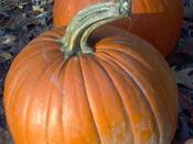 Lesson Frost Pumpkins Feasts