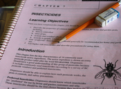 Problem with Me…and Studying.