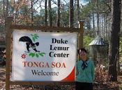 DUKE LEMUR CENTER, Durham, North Carolina