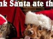 Holiday Spirit