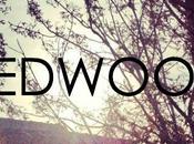 Redwood Weaves Ambiance Melody [free