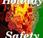 Arcadia Officials Encourage Safety Awareness Enjoyable Holidays
