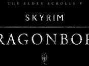 S&amp;S Review: Skyrim Dragonborn