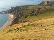 Endurance Life Dorset