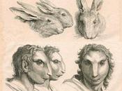 Physiognomy Humans Animals