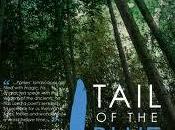 Book Review: Ayikwei Parkes "Tail Blue Bird"