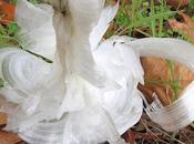 Frost Flowers: Nature's Exquisite Extrusion