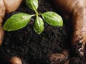 Benefits Using Soil Nutrients Agriculture Industry