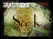Gratitudes Seeds