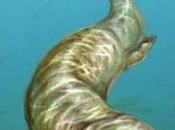 84-million-year-old Monster Discovered Hungary