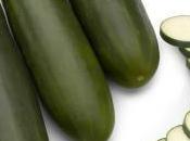 Monsanto Cucumbers Cause Genital Baldness—Immediately Banned Nova Scotia