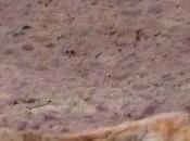 Marloe: Victim Success; Ever Have Split Experience Where Couple Scores Other Crashes?