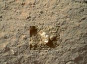 Curiosity Rover Just Found Flower Mars?
