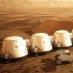 Astronauts Needed Mars Colony