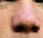 Scientist Classifies Types Nose