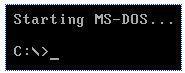 MS-DOS Turned Years