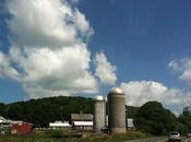 Country Road Somewhere Upstate York