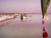 Cruise Indus River