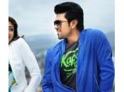 Naayak Days Collections