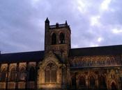 12/365 Paisley with Patterned