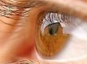 Tips Improve Your Vision Naturally Good Eyesight Reflection Health Majority Senses Body Receives Related Eyesight.