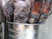 15/365 Hairbrush Bush