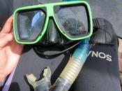 Week Photos Feat. Snorkeling Fluffy Creatures