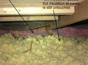 Poorly Insulated Eaves Houses