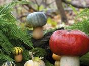 Toadstools Topiaries, Creative Mushroom Projects Your Garden