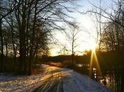 Sunset Snow Massapequa Preserve