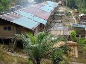 Longhouses Malaysian Borneo