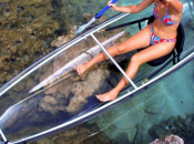 Clear Blue Hawaii Molokini Kayak