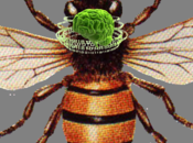 Bees: Intelligent Hive Mind?