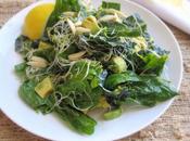 Kale, Sprout Avocado Salad
