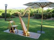 Hire Harpist Your Wedding